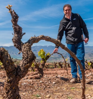Explore Rioja Valentine's Day Wine Dinner