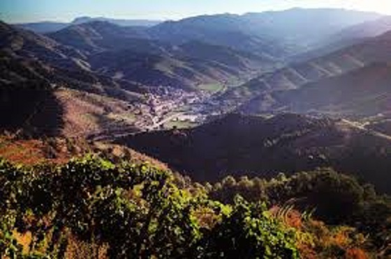 Saturday Tasting Series: The new Priorat