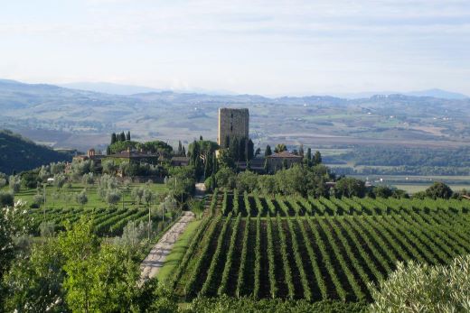 MWC Summer Tasting Series: 2019 Tuscany