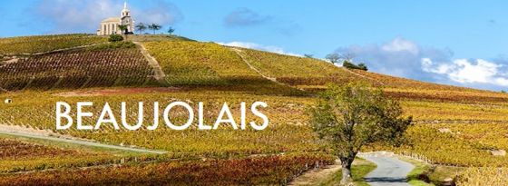 Giving Thanks to Beaujolais