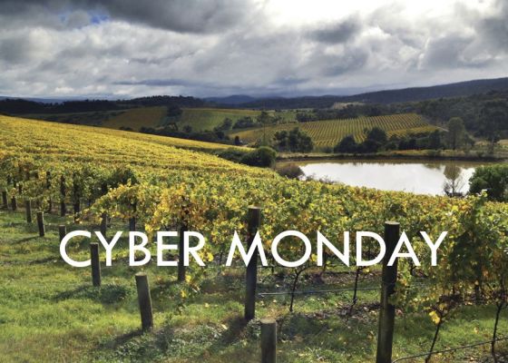 Cyber Monday Sale on 40 Great Wines & Spirits