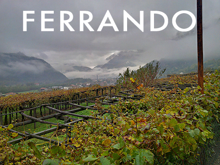 2016 Ferrando Carema – Bottled Magic from the King of the North