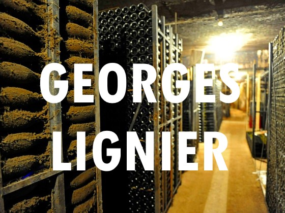 2015 Georges Lignier - Grace Meets Steel