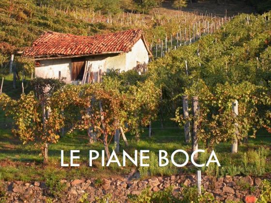 Le Piane Boca: An Alto Piemonte Stalwart