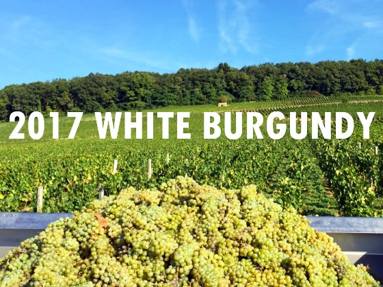 2017 White Burgundy Roundup