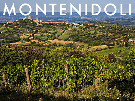 #WineWednesday - Head-turning Italian White - Montenidoli