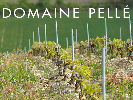 #WineWednesday - Menetou-Salon Royalty, Domaine Pell� - Vying for Sancerre's Crown