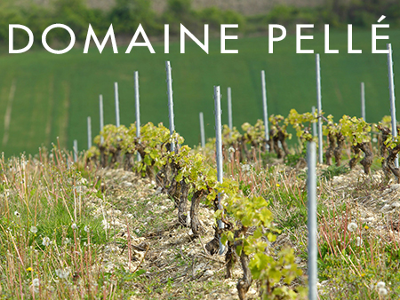 #WineWednesday - Menetou-Salon Royalty, Domaine Pellé - Vying for Sancerre's Crown