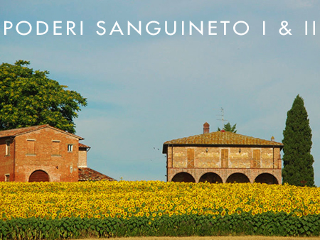 Vino Nobile like no other: Poderi Sanguineto I & II