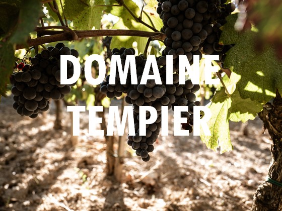 Domaine Tempier Bandol - Provencal Transcendence