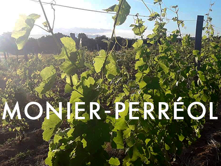 Domaine Monier-Perréol’s Seductive Saint-Joseph